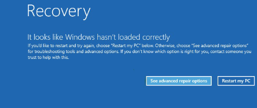 Windows Recovery screen after BSOD error