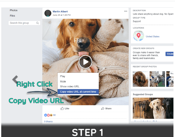 Tips to download Facebook Private Videos VIA FBdown