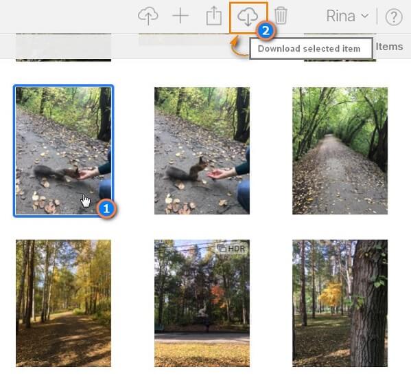 How to Recover Deleted Photos from iCloud