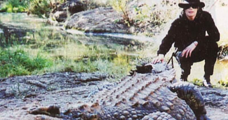 Story about alligators
