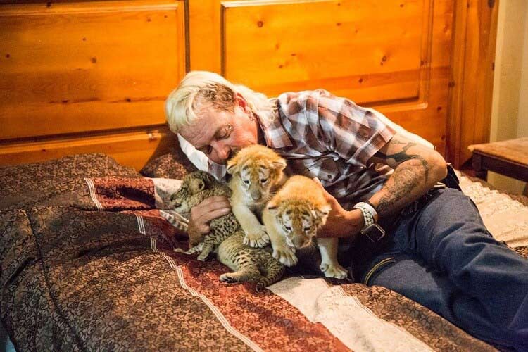 Petting-cubs-is-not-as-cute-as-it-seems