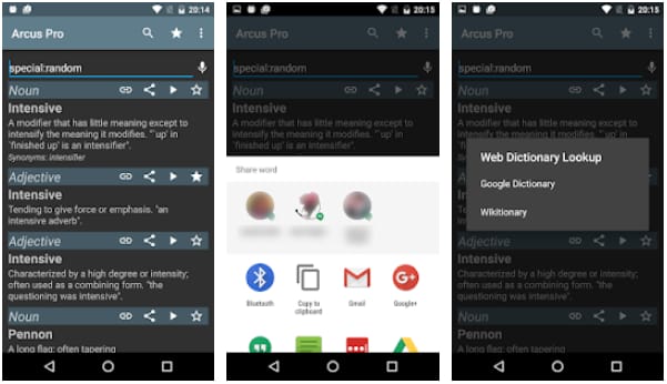 Arcus Dictionary Pro