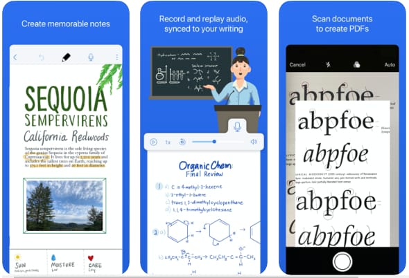 Notability