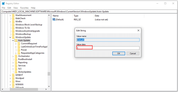value 1 for auto update key in HKEY-local-machine