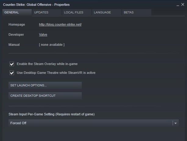 CSGO launch option