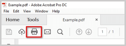 Use the Image option in Acrobat Reader