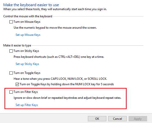 Disable the filter keys to fix Lenovo Laptop Keyboard issues