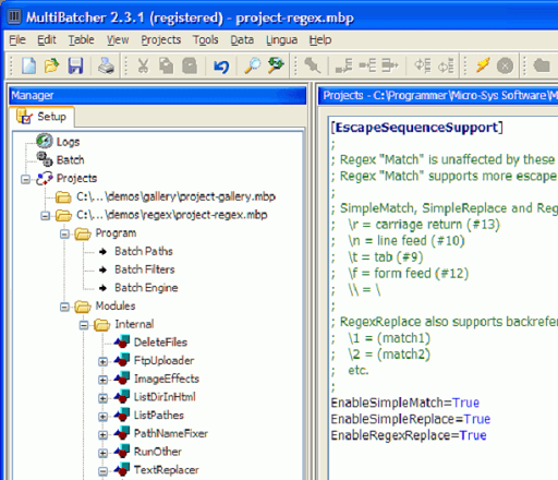 MultiBatcher- Best software to find and replace word text