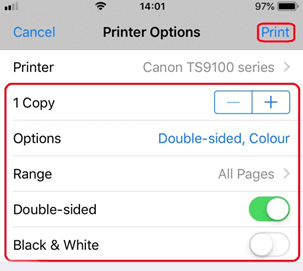 Tap on the Print option present on the top-right corner