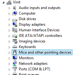 Mouse and other pointing devices head from the list of devices in the Device Manager
