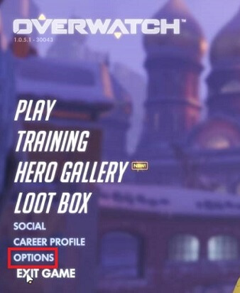 Lower the Game’s Graphics and Other Settings- click option