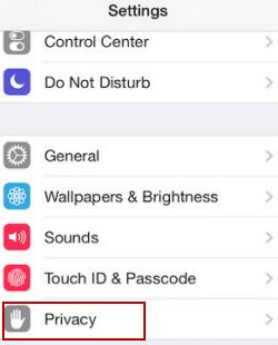 Viewing Google location history on iPhone - click on privacy