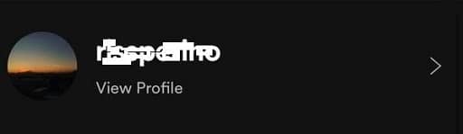 Process to See Spotify Stats on the App