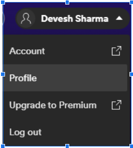 Process to See Stats for Spotify on the Website- view profile