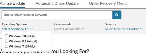 selected the Manual Update option