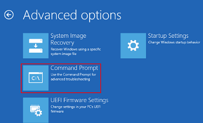 Command Prompt from the Advanced options menu