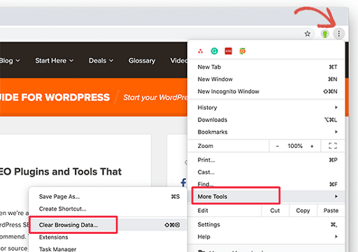 Delete the browser cache