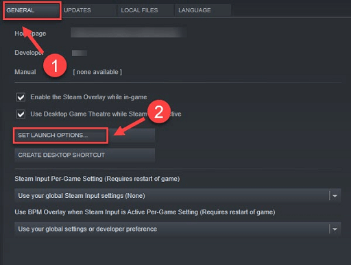 Go to GENERAL tab and SET LAUNCH OPTIONS