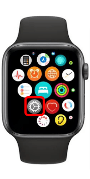 Open Settings application on your Apple Watch